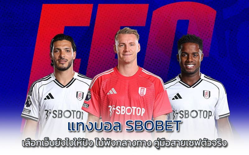 แทงบอล sbobet