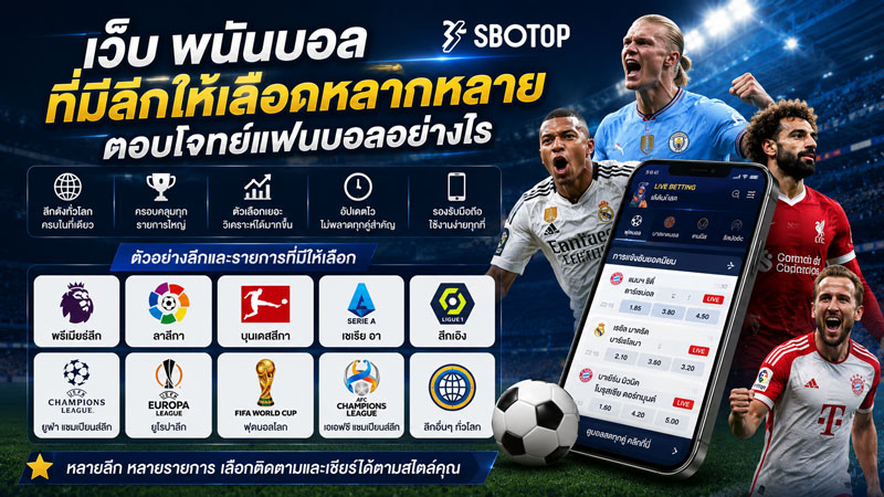 เว็บ พนันบอล